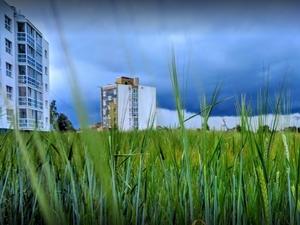 Аренда автокрана в Озерцо Минской области